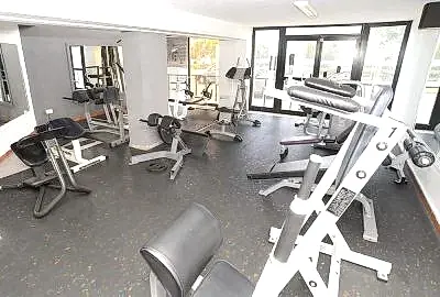 abs gym equipment