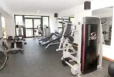 cybex hammer strength equipment