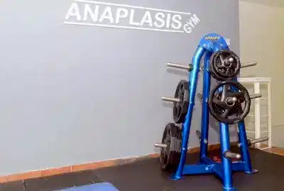 gym plates