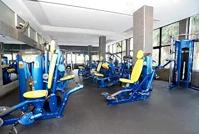 hoist gym fitness equipment