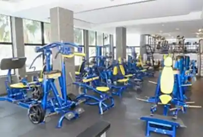 main gym fitness equipment