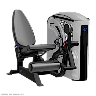 nautilus one leg extension