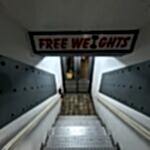 Free weights basement